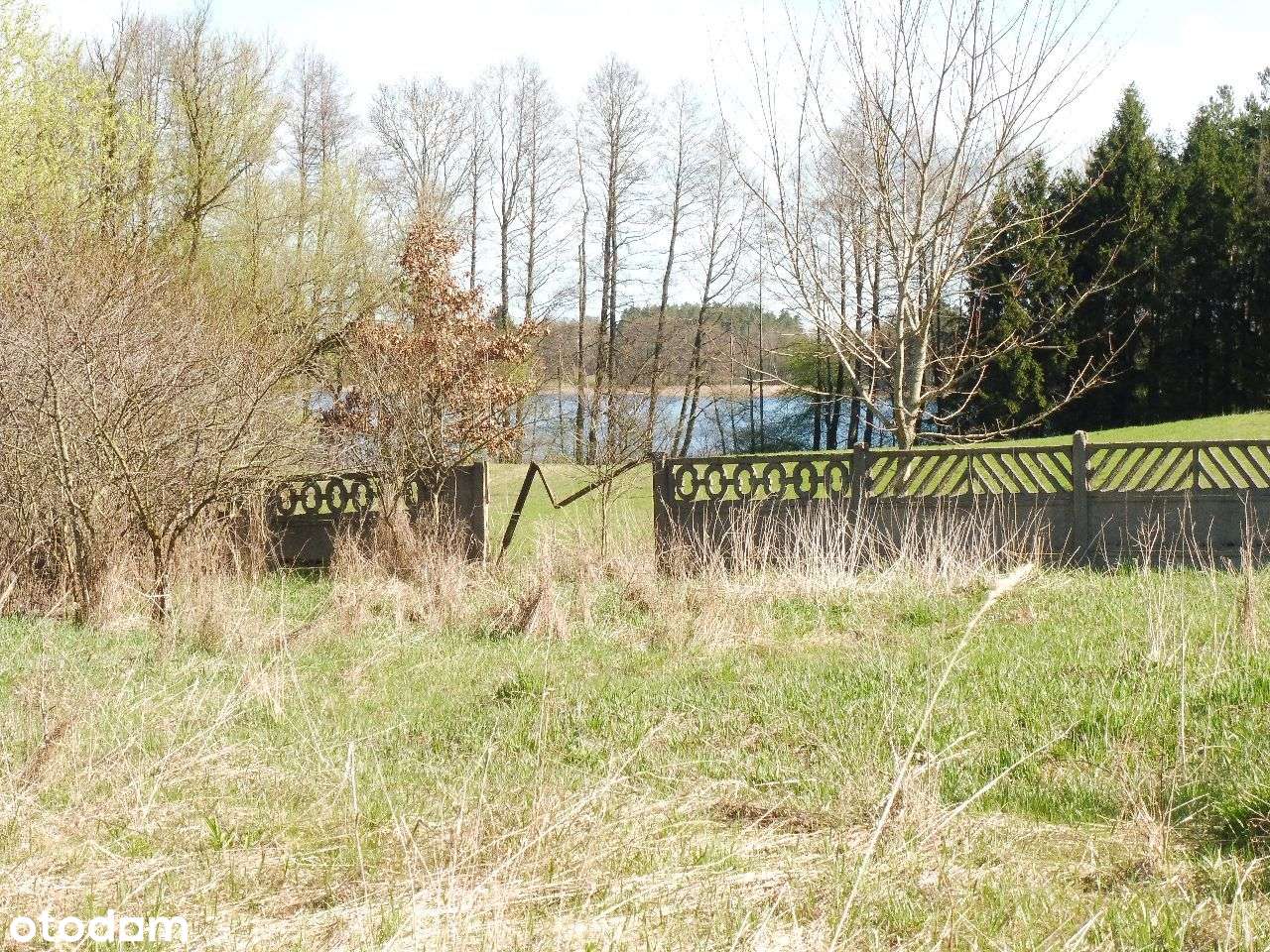 Sprzedam działkę blisko jeziora i lasu .Prawdziwe naturalne Mazury. - Pełny obrazek: 3/9