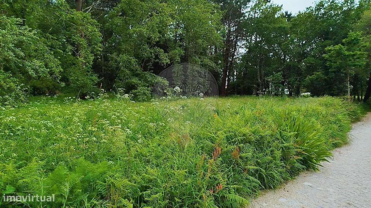 Terreno  para venda - Grande imagem: 5/16