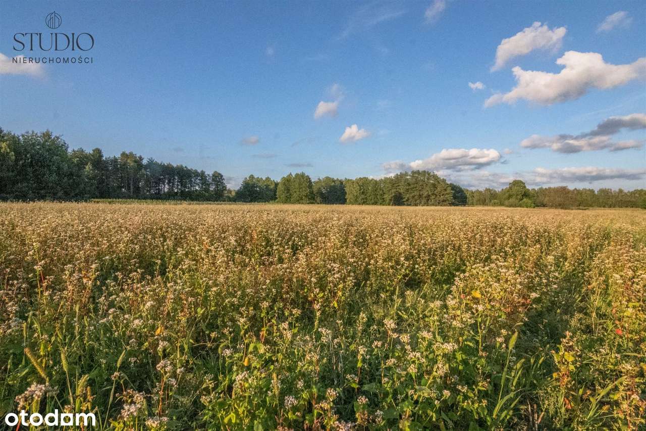 Działki siedliskowe gmina Turośń Kościelna - Pełny obrazek: 4/8