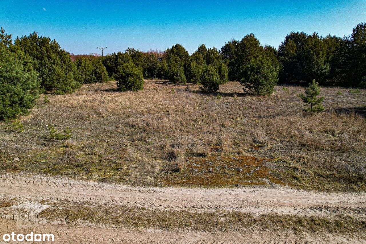 Działka 100 m od Jeziora Branickiego - Krupocin-6