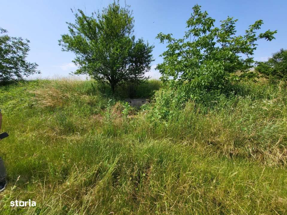 Teren intravilan, 1800mp, Gusterita - Imagine principală: 4/4