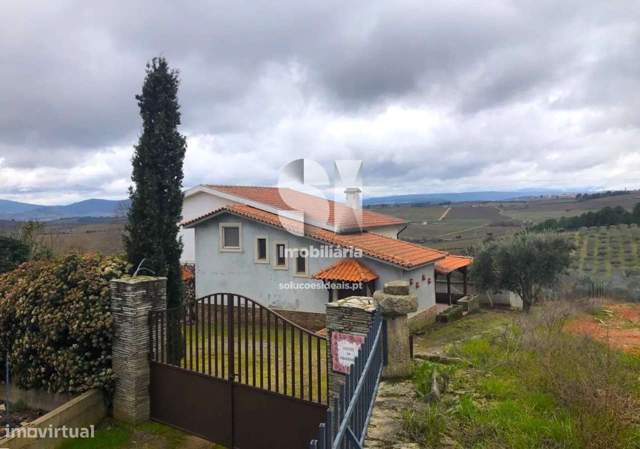 Quintinha T5 - Grande imagem: 4/46