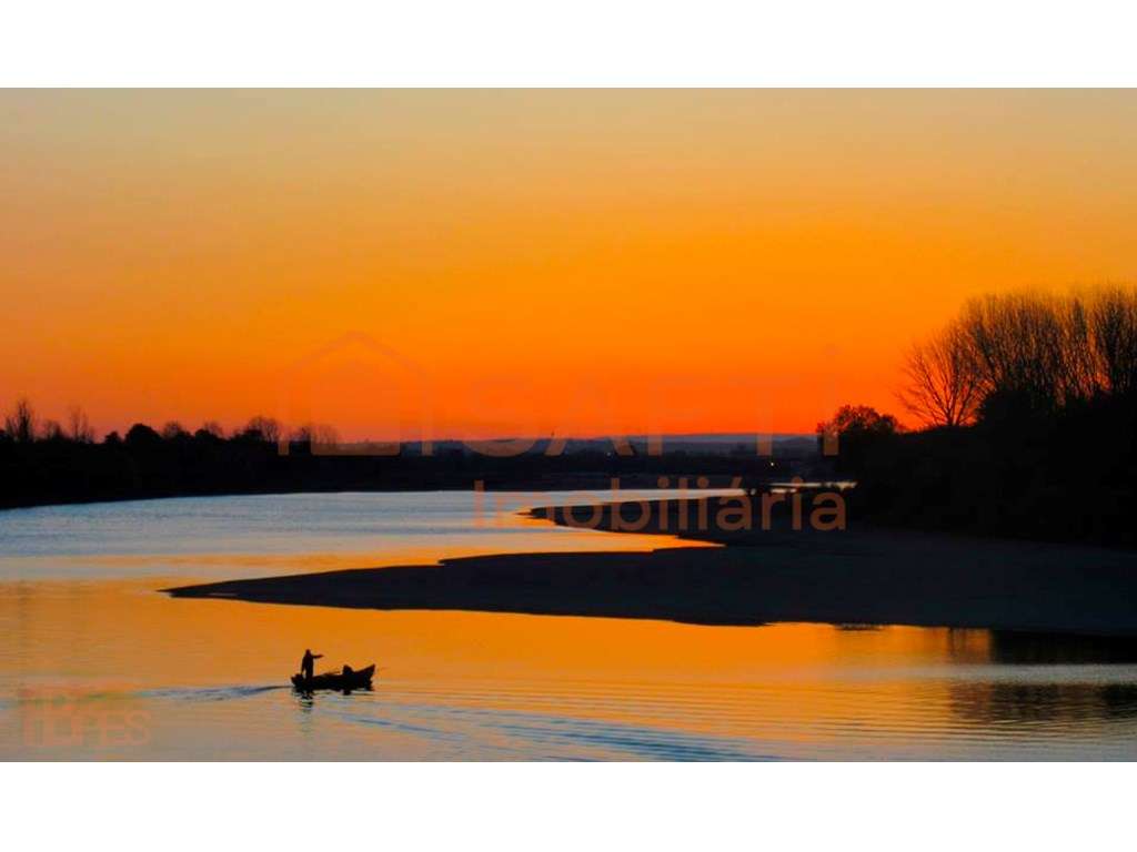 Cessão de quotas de restaurante e bar - Grande imagem: 5/11