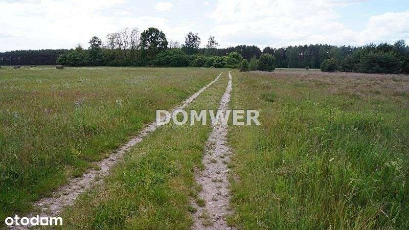 Działka, 3 000 m², Górki Noteckie - Pełny obrazek: 4/5