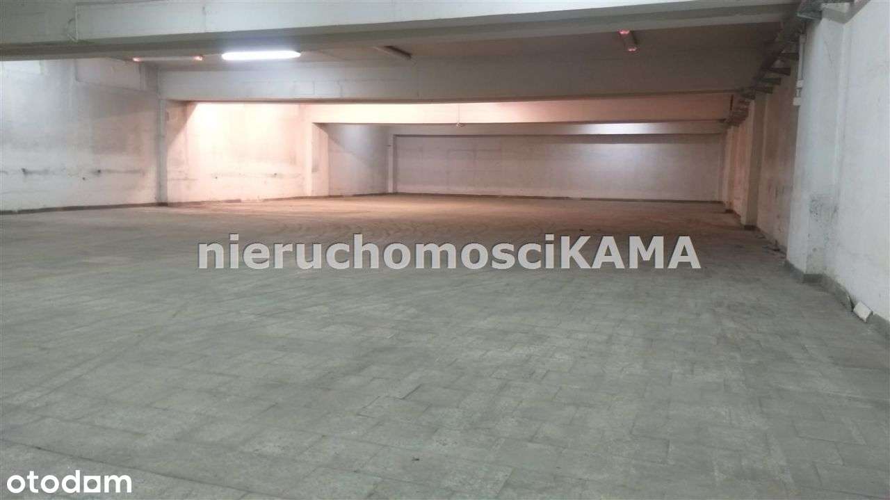 Hala/Magazyn, 769 m², Bielsko-Biała - Pełny obrazek: 5/8