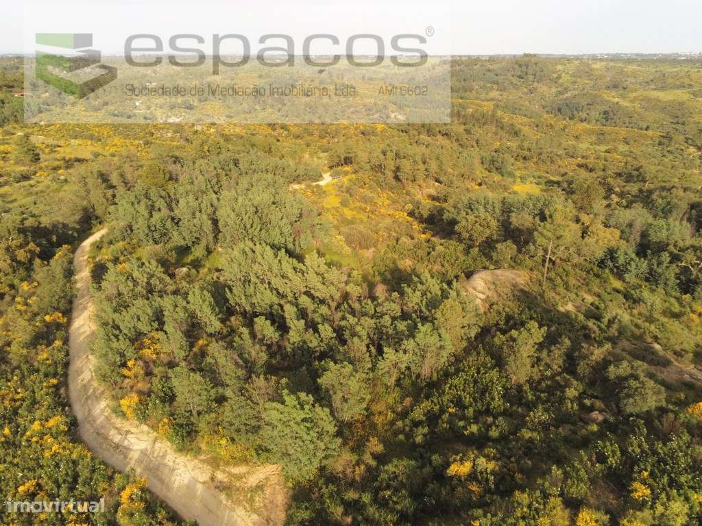 Terreno com vistas panorâmicas - Palvarinho - Grande imagem: 2/10