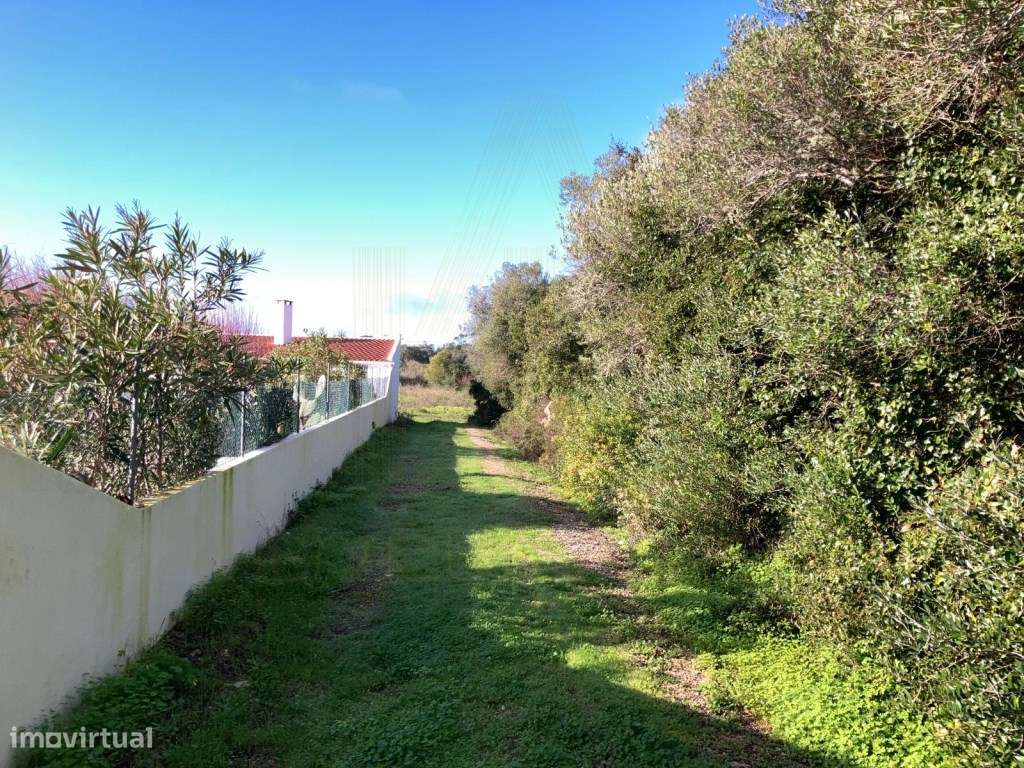 Terreno à venda em Pinheirinhos - Sesimbra (Castelo) - Grande imagem: 5/9