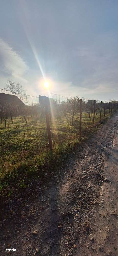 Teren pentru parcelat -2900 mp - Imagine principală: 5/13