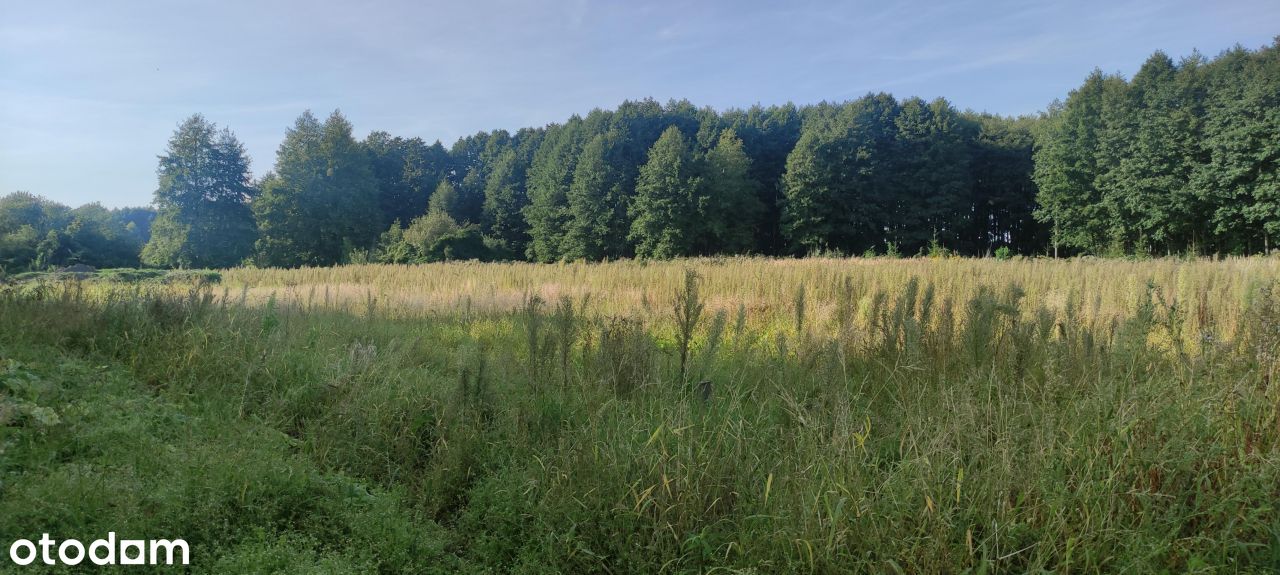 Działka Budowlana W Bliskim Sąsiedztwie Jeziora