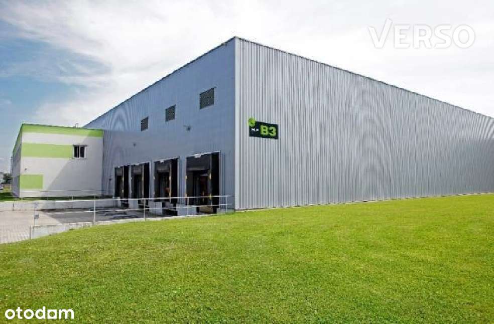 Magazyn 4050 mkw., do wprowadzenia od zaraz - Pełny obrazek: 5/8