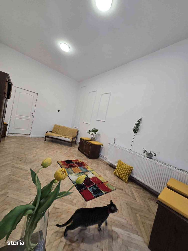 Apartament Ultracentral Vasile Alecsandrii  Oradea-5