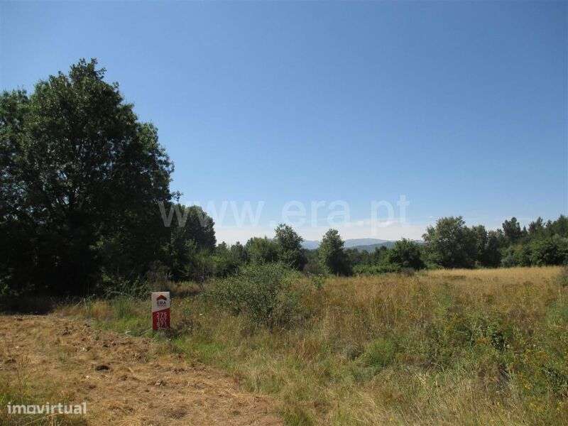 Terreno / Fundão, Enxames - Grande imagem: 4/4