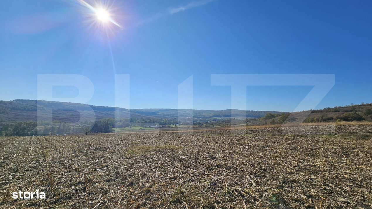 Teren extravilan, 17.000 mp, zona Almasu Mic - Imagine principală: 3/3