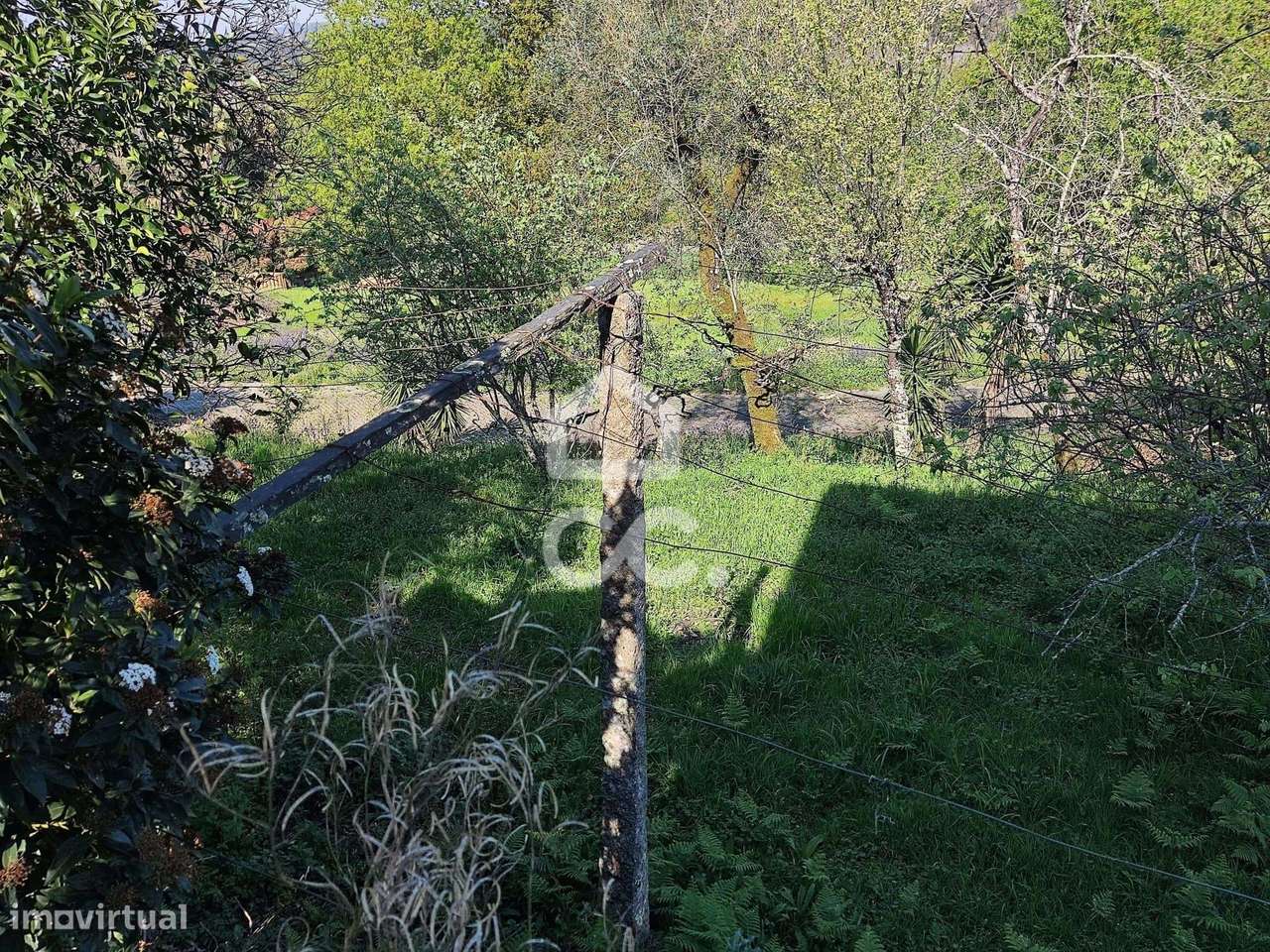 Quinta, Termas de São Vicente, Penafiel-13