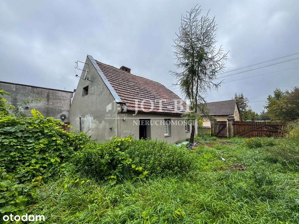 Okazja cenowa! Działka 7800 m2 pod zabudowę. - Pełny obrazek: 4/6