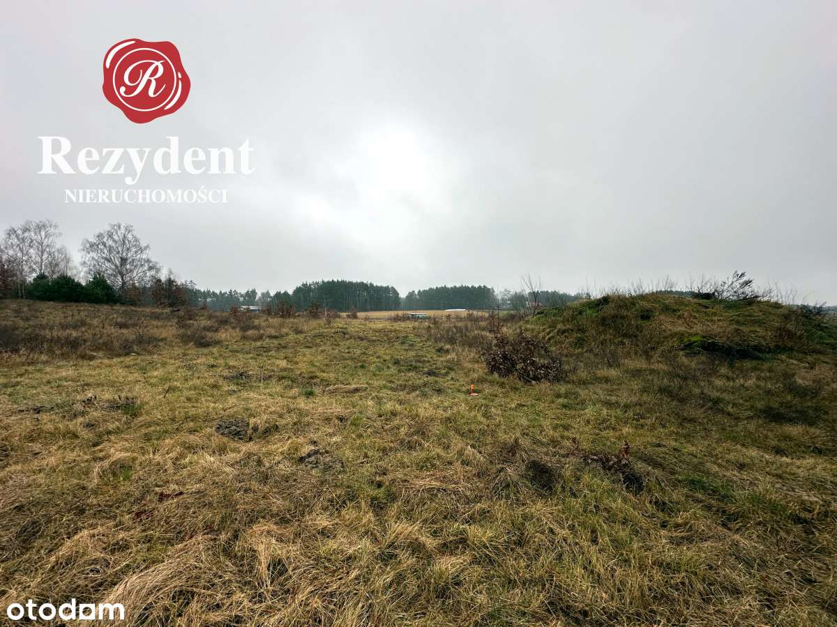 Działka na obrzeżach Sępólna Krajeńskiego - Pełny obrazek: 4/9