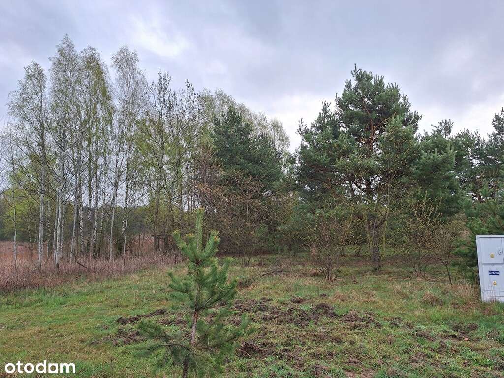 Przepiękna działka przy lesie - natura i spokój! - Pełny obrazek: 3/20