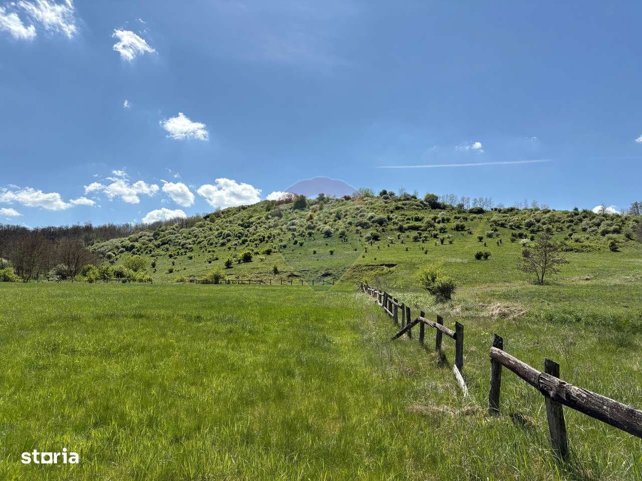 Domeniu - 66 Hectare - Teren deosebit Copsa Mica cu deschidere la DN14 - Imagine principală: 5/14