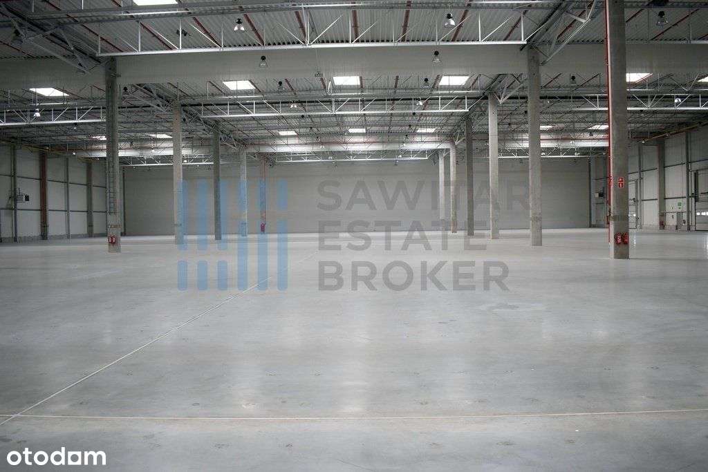 Hala klasy"A" Dąbrówka -bez prowizji - Pełny obrazek: 4/6