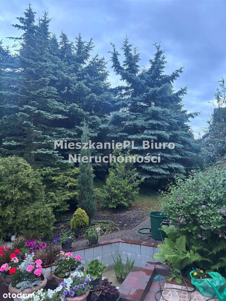 Atrakcyjny dom Sosnowiec Klimontów-7