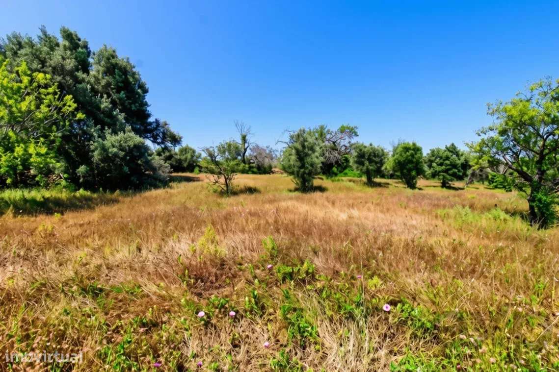 Terreno rústico de 5080 m2 à venda em Estoi, Faro-8