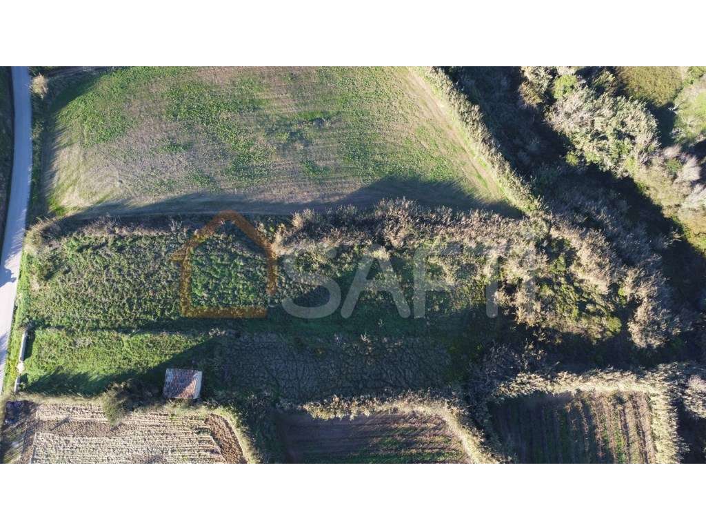 Terreno rústico vista mar - Grande imagem: 4/15