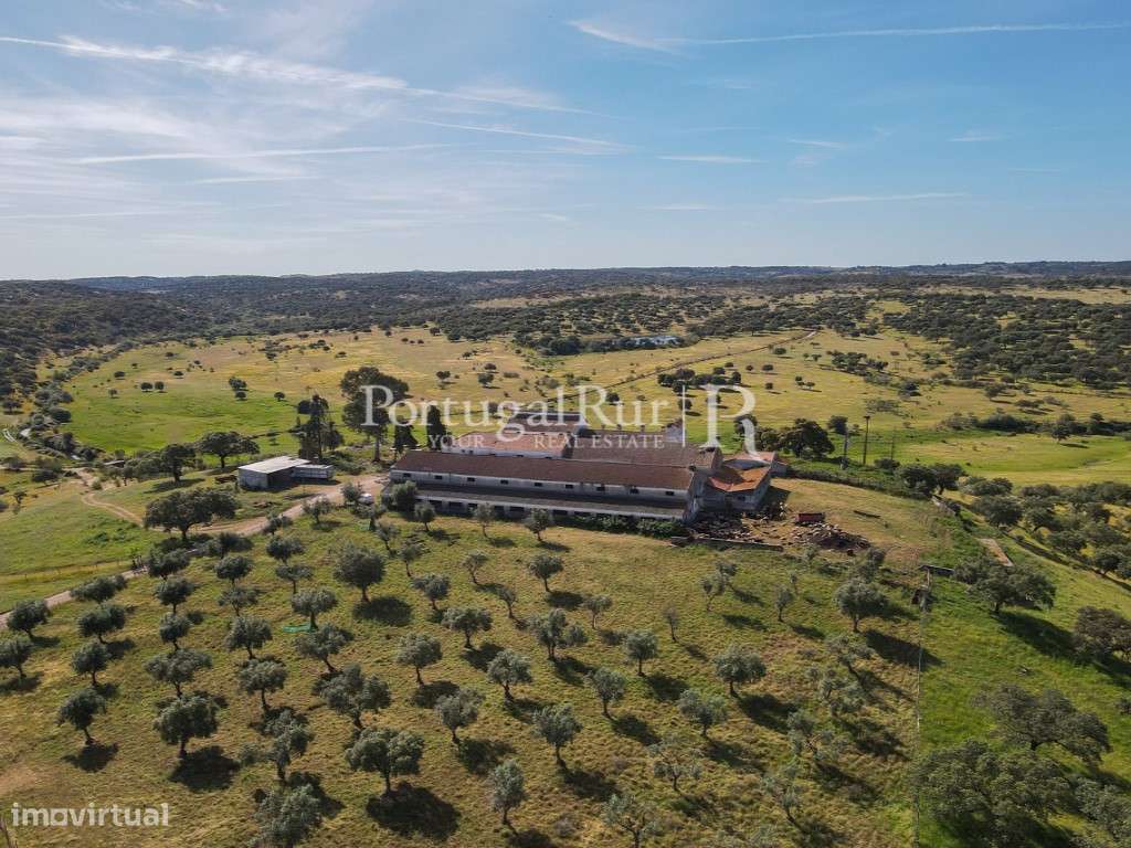 Herdade com 380ha próximo de Castelo Branco - Grande imagem: 5/57