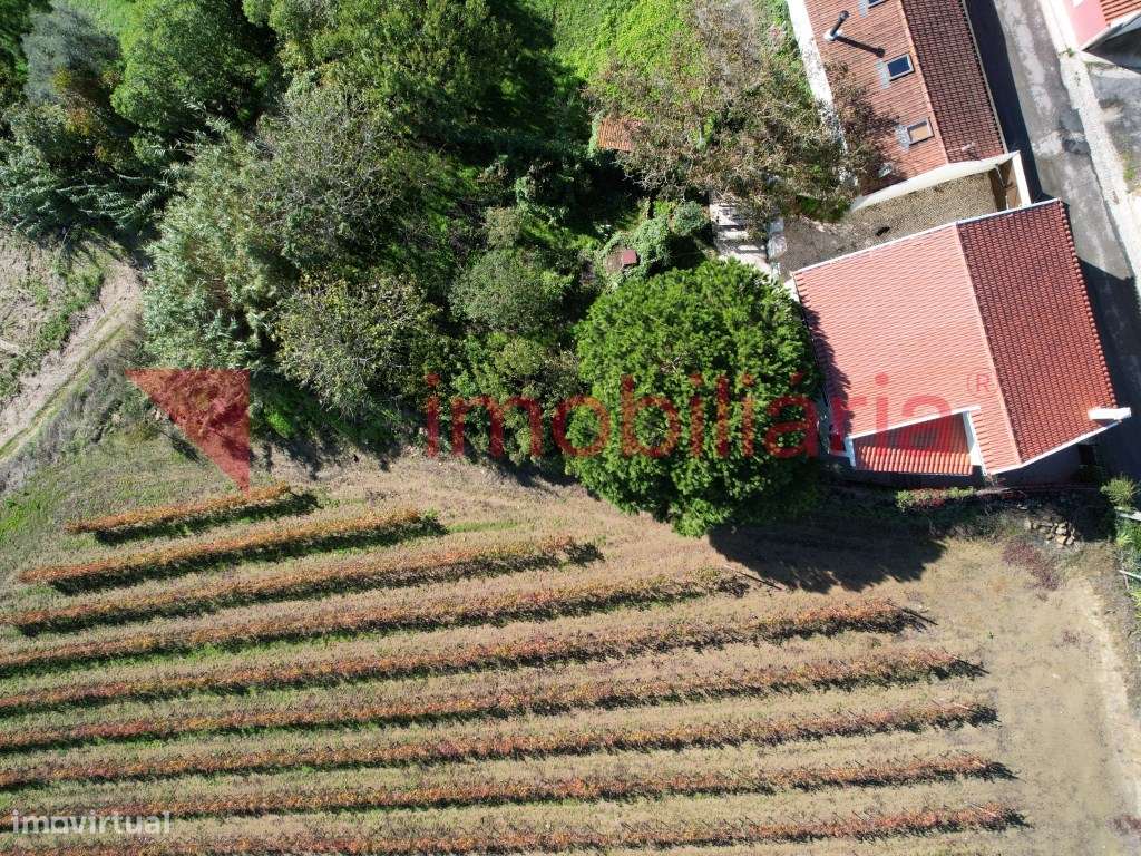 Moradia Rustica inserida numa Magnifica Paisagem Vinícola-8