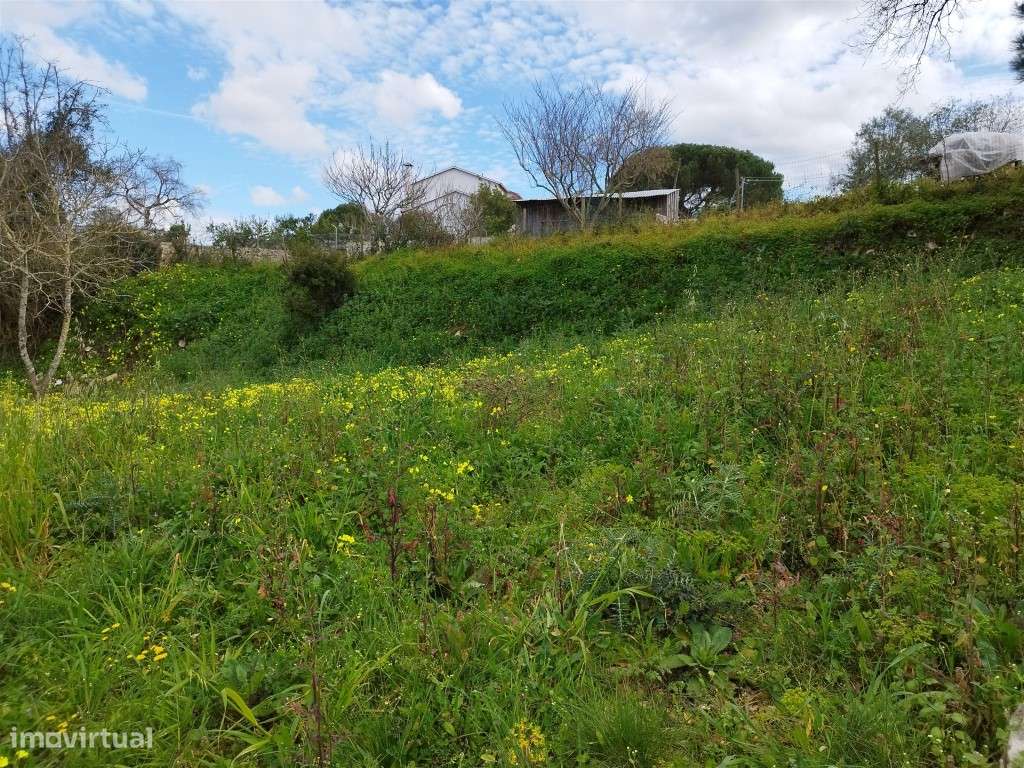 Terreno Urbano Venda Leiria-10