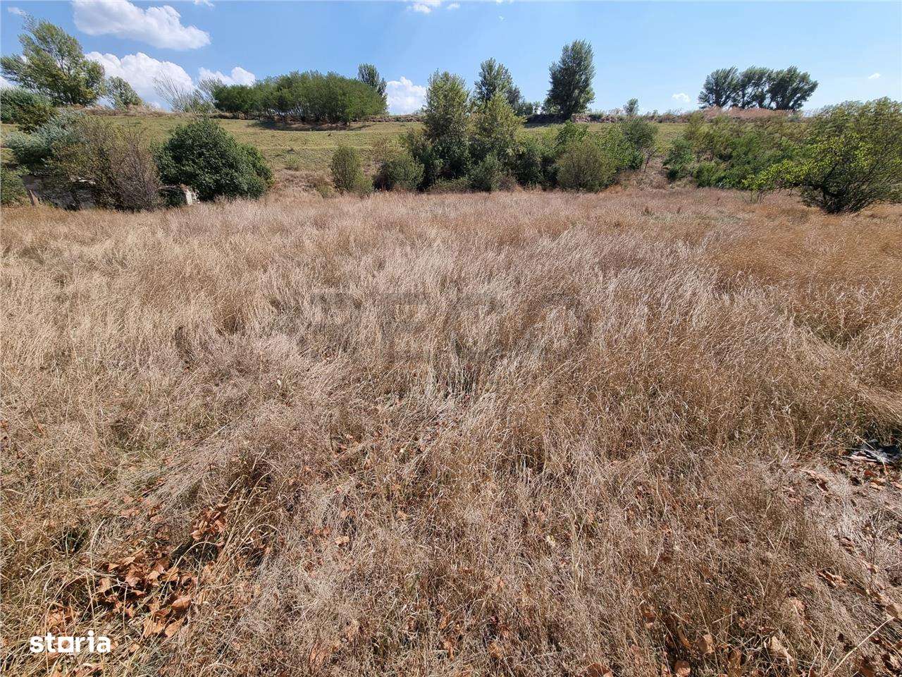 RECO Teren de 4282 mp. Calea Borsului. - Imagine principală: 5/8