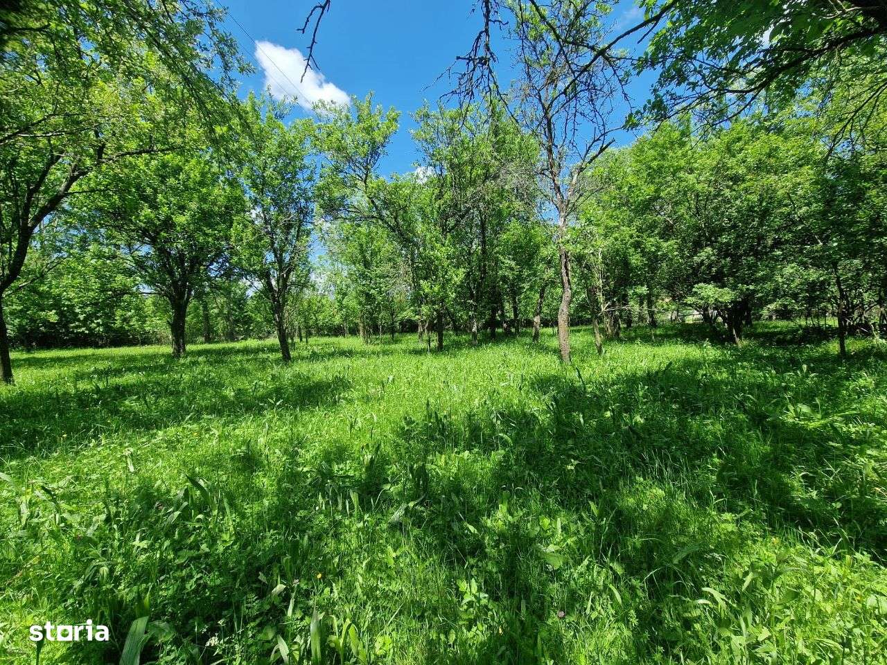 Teren intravilan Comarnic cartier Podul lung langa padure-5