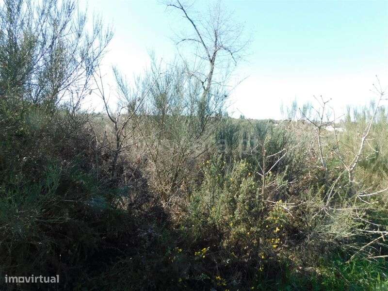 Terreno / Oliveira do Hospital, Meruge - Grande imagem: 4/7