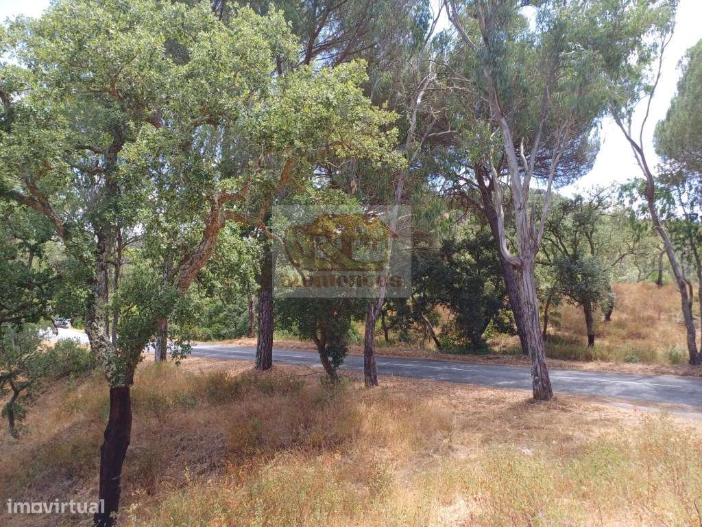 Terreno com 21 hectares - serra e turismo perto das praias - Grande imagem: 3/11