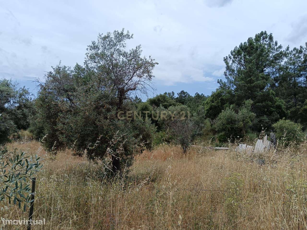 Terreno Rústico, 840m2, Palvarinho - Grande imagem: 4/7