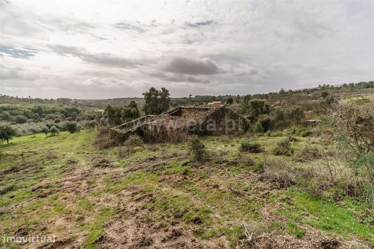 Quinta T1 / Fundão, Vale de Prazeres e Mata da Rainha - Grande imagem: 4/15