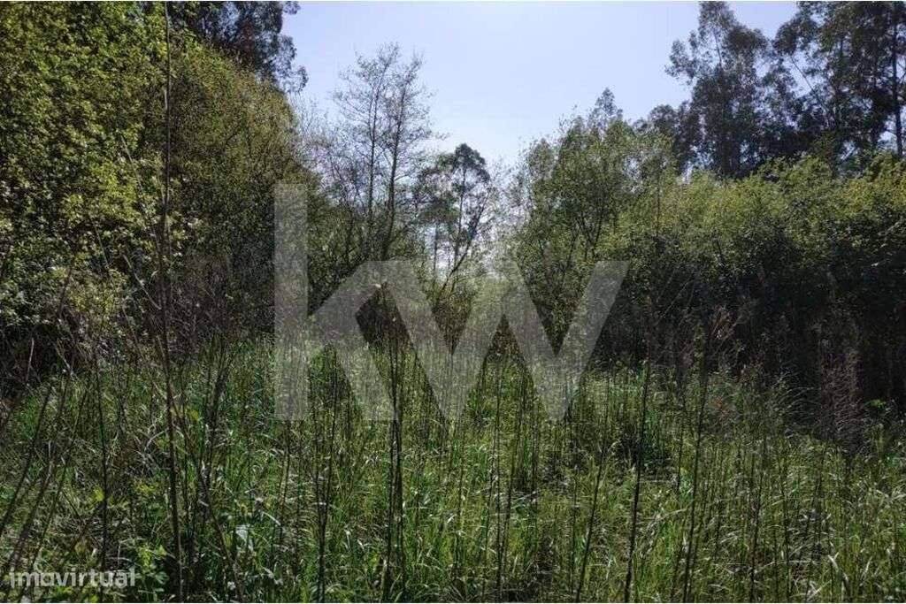 Terreno rústico com 4.080m2 na Avenida Jaime Isidoro (VL5) em Perosinh - Grande imagem: 4/20