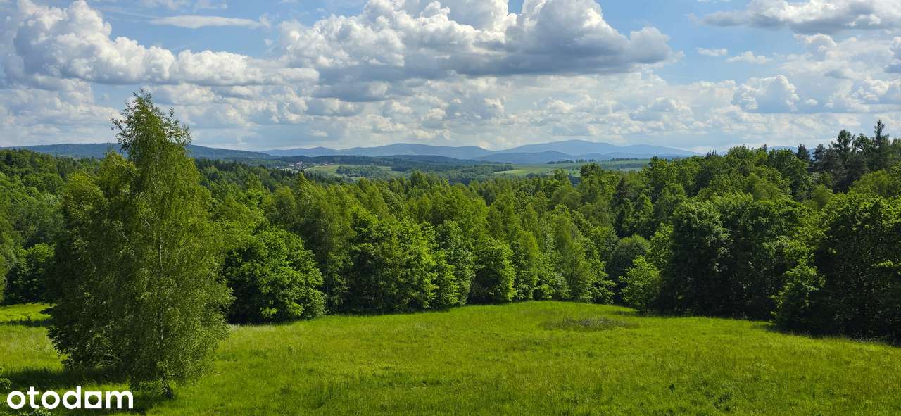 Dom z 3 ha działką na leśnej polanie-2