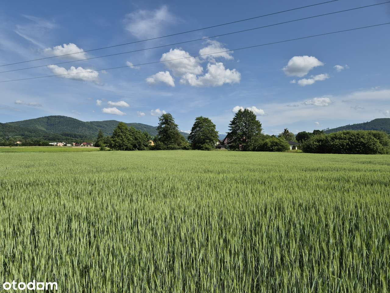 miejsce na dom i wszystko inne... - Pełny obrazek: 4/9