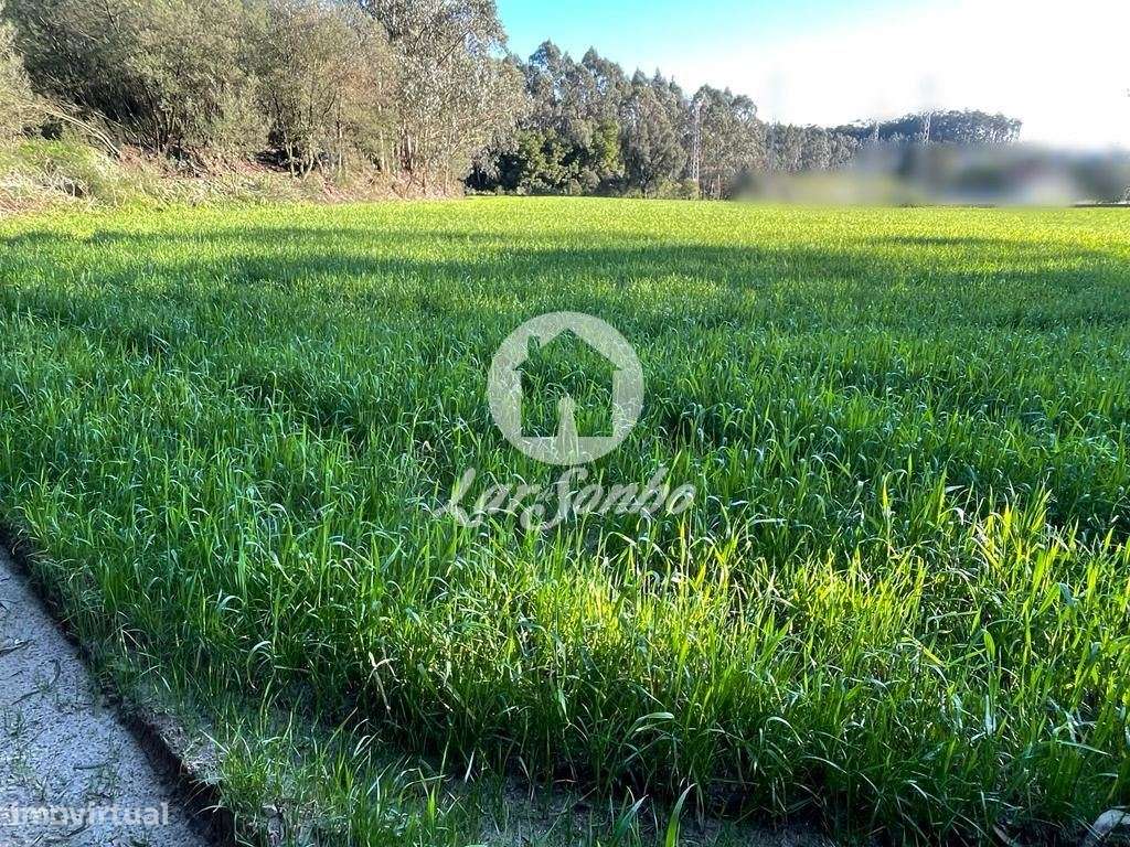 Terreno para construção de moradias com 16.835 m2 em Vairão - Grande imagem: 3/4