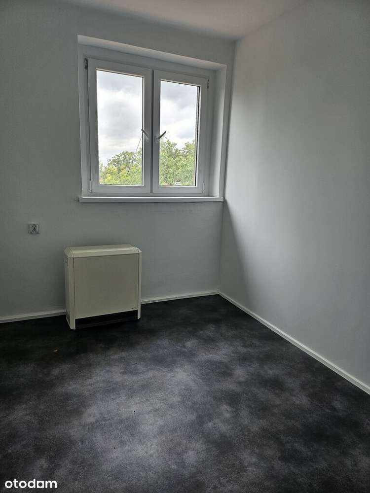 3 pokoje Ligonia bez prowizji - Pełny obrazek: 4/14