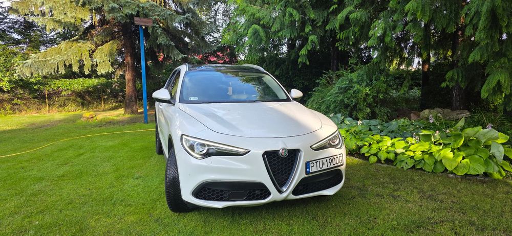 Alfa Romeo Stelvio 2.0 Turbo 16V AT8-Q4 Super 2019