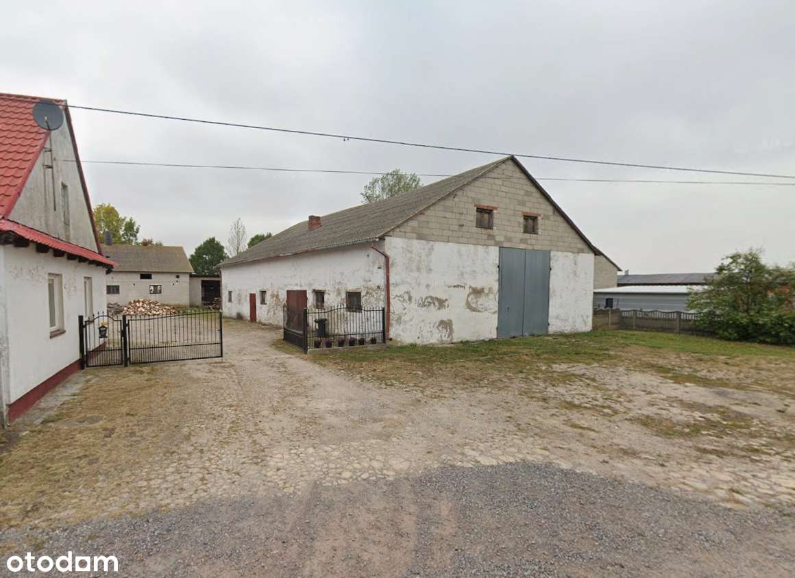 5 działek rolnych, z zabudową LICYTACJA - Pełny obrazek: 5/5