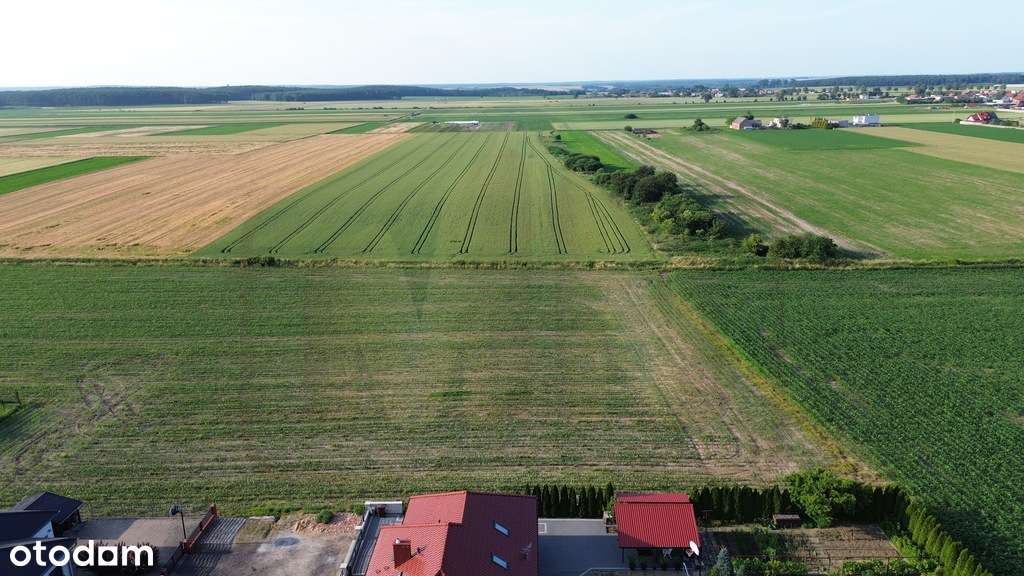 Działki budowlane Kąkolewo, nowe osiedle - Pełny obrazek: 5/11