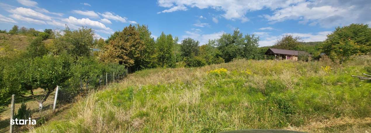 Teren intravilan 1279 mp , Valea Budacului - Imagine principală: 3/4