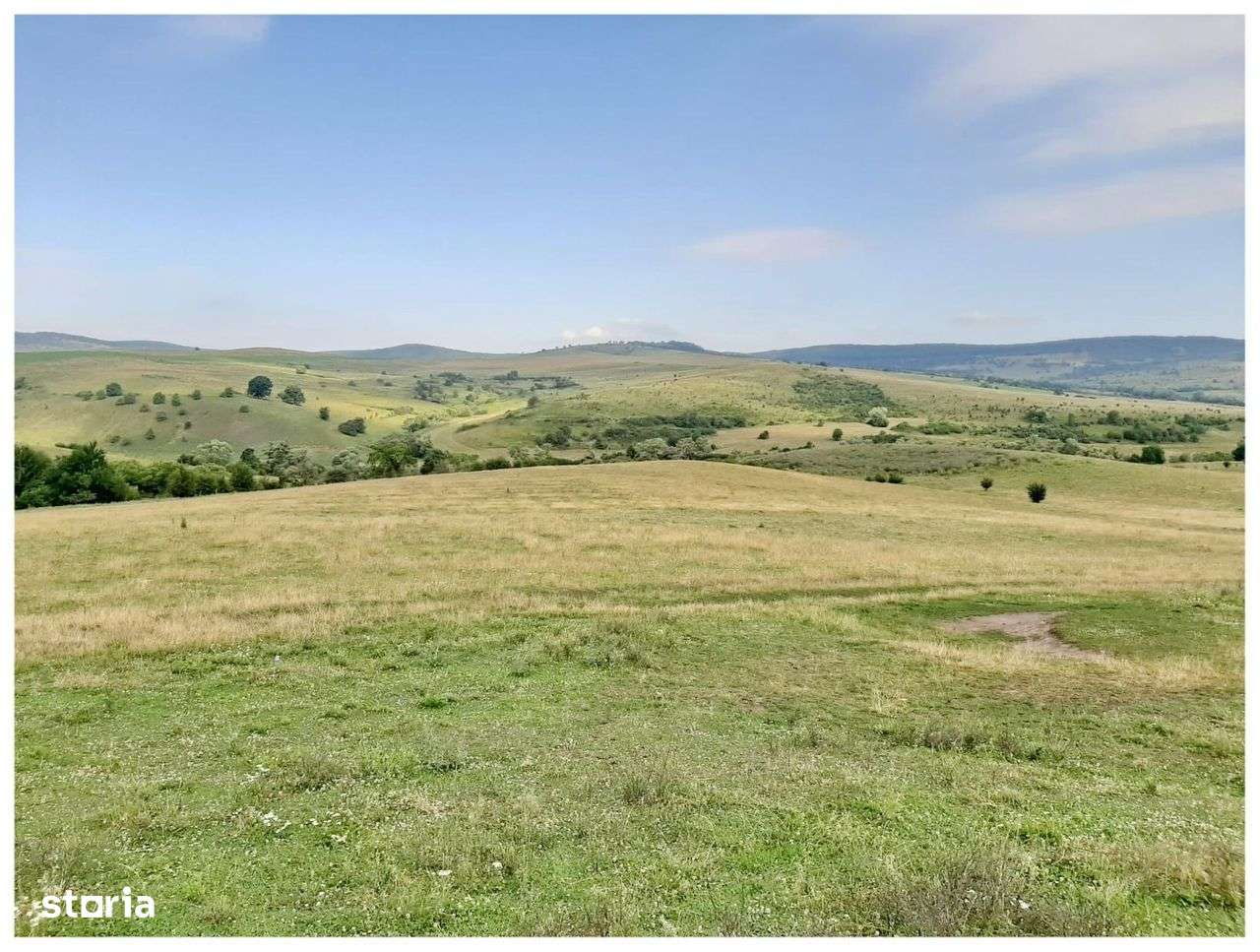 Teren Sercaia  250 ha - Imagine principală: 5/12