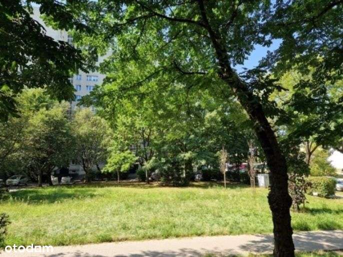 3 pokojowe mieszkanie Ursynów-Centrum-11