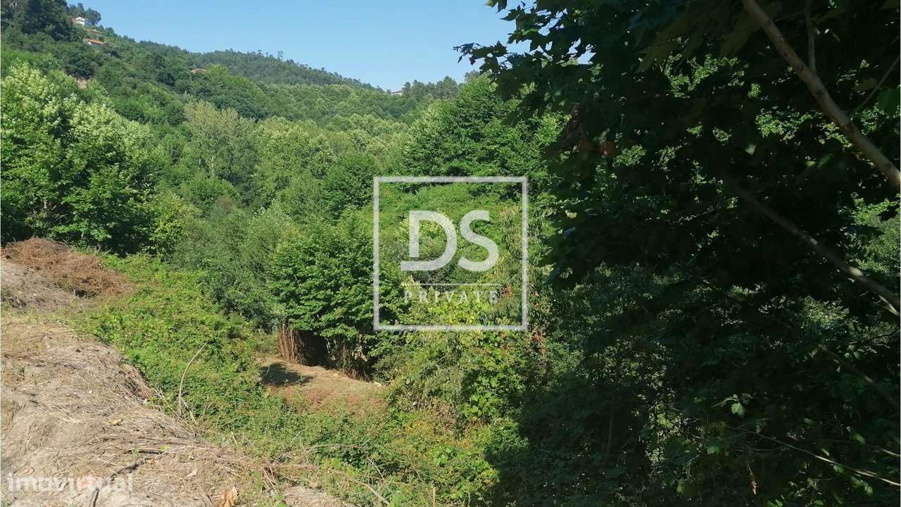 Quinta T4 em UDF de Britelo, Gémeos e Ourilhe - Grande imagem: 4/29