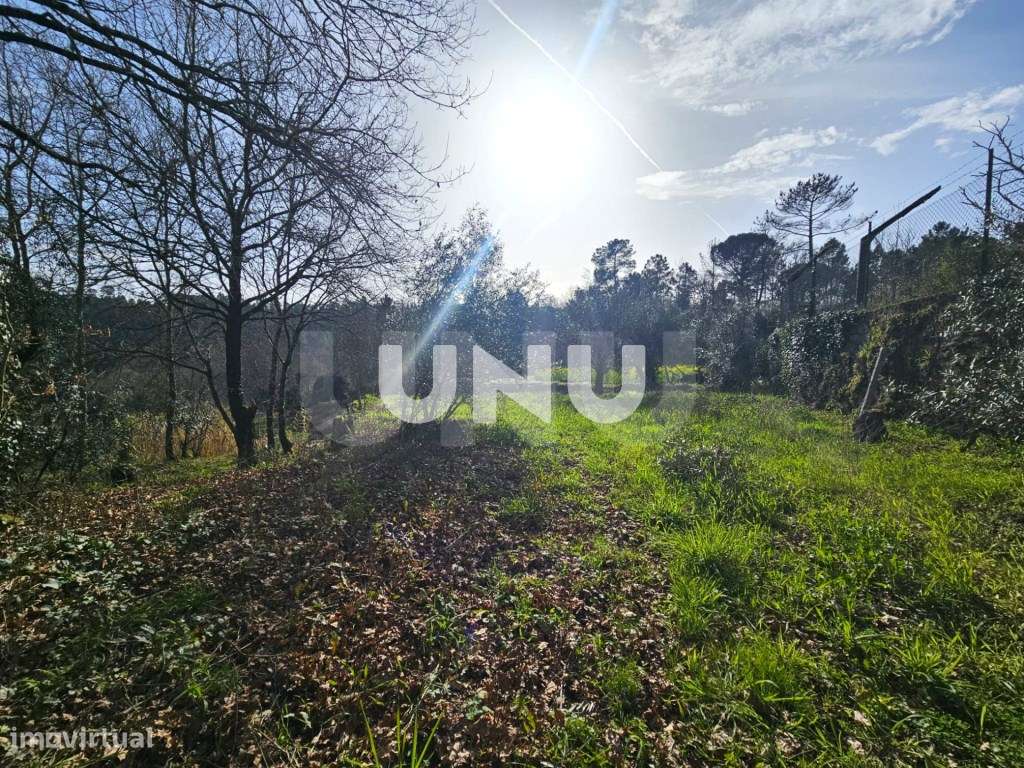 Terreno Rústico - Envolvente de Natureza - Grande imagem: 5/21