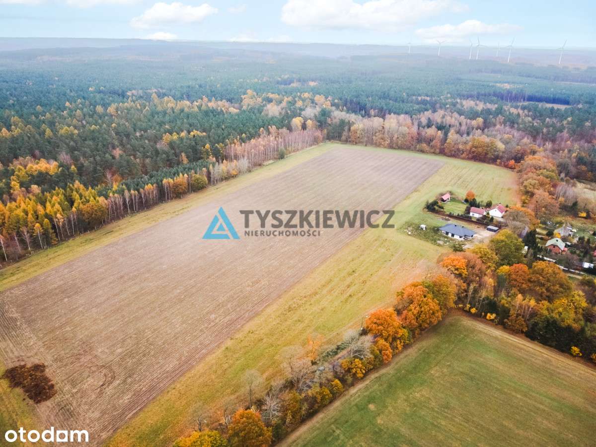 Działka Szczenurze - Pełny obrazek: 4/10