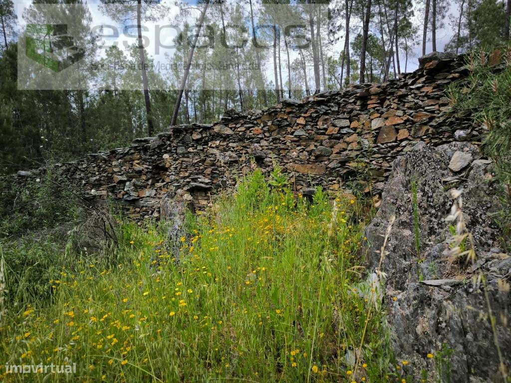 Terreno murado e com poço - Grande imagem: 3/8